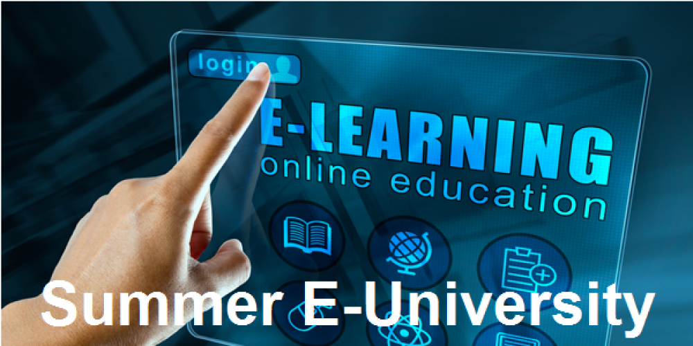 Université d'été en ligne